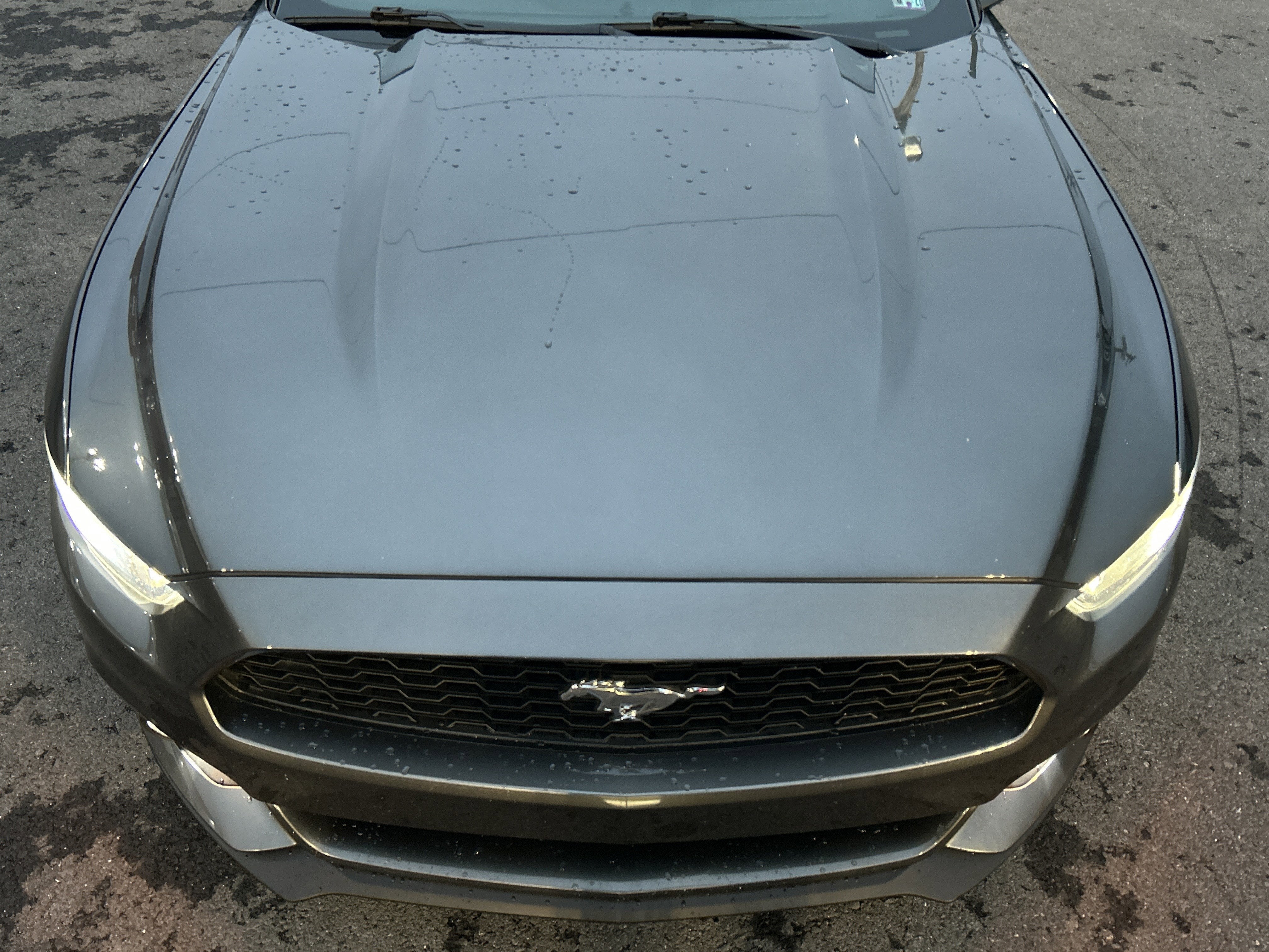 2016 Ford MUSTANG PREMIUM